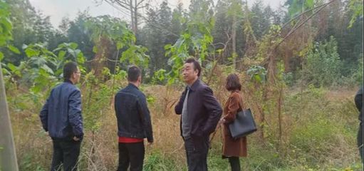 市環(huán)境攻堅辦調研組深入浉河區(qū)開展耕地土壤污染防治專項調研
